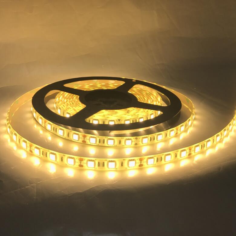 5050 60LED Silicone Coating