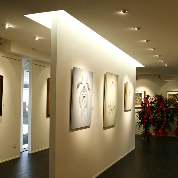 Gimbal Downlight used in Art Galleries Lighting