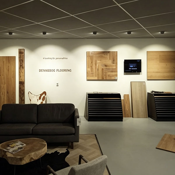 Gimbal Downlight used in Showrooms Lighting